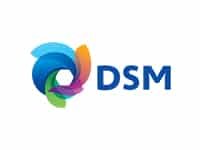 DSM